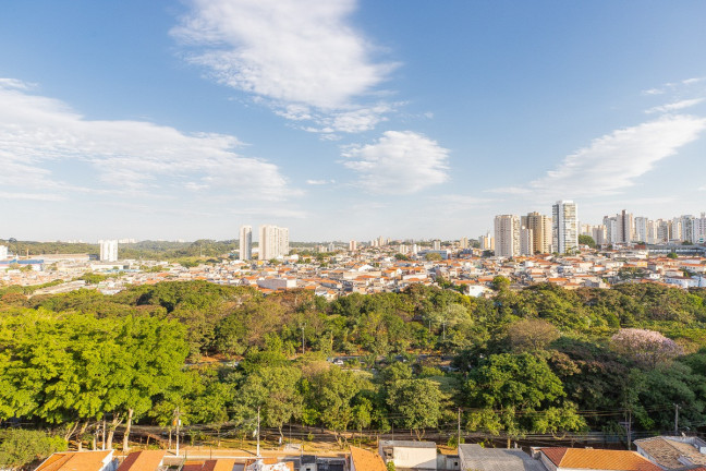 Imagem Apartamento com 3 Quartos à Venda, 102 m² em Vila Monte Alegre - São Paulo Imagem Apartamento com 3 Quartos à Venda, 102 m² em Vila Monte Alegre - São Paulo