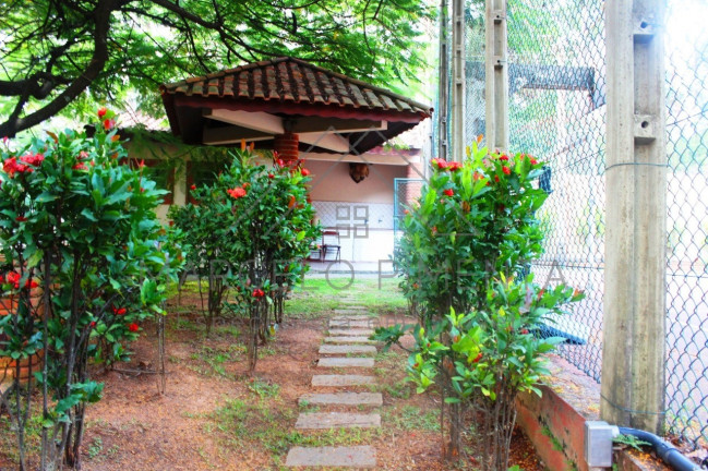 Imagem Imóvel com 4 Quartos à Venda, 5.000 m² em Chácaras Alpina - Valinhos Imagem Imóvel com 4 Quartos à Venda, 5.000 m² em Chácaras Alpina - Valinhos