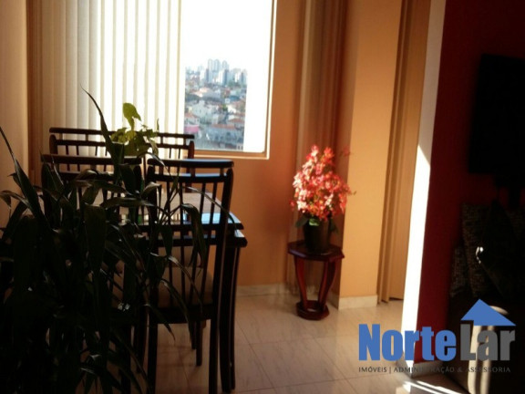 Imagem Apartamento com 2 Quartos à Venda, 55 m² em Parque São Luís - São Paulo Imagem Apartamento com 2 Quartos à Venda, 55 m² em Parque São Luís - São Paulo