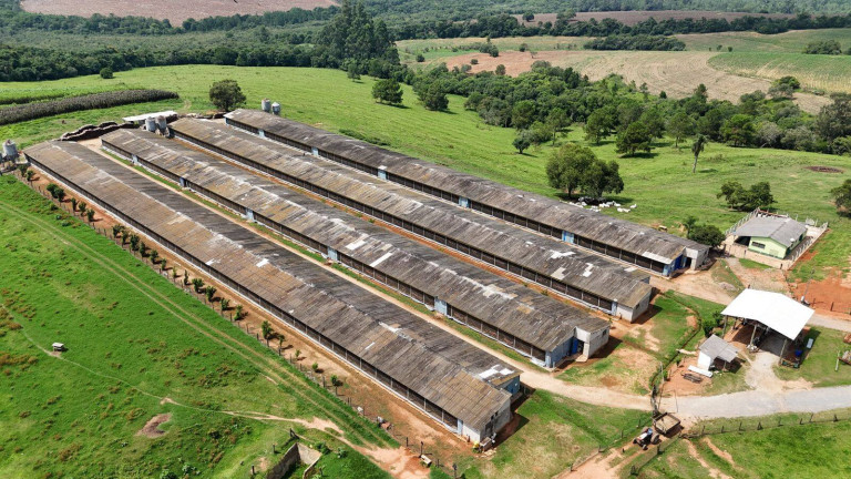 Imagem Chácara com 3 Quartos à Venda, 504 m² em Cercadinho - Alambari Imagem Chácara com 3 Quartos à Venda, 504 m² em Cercadinho - Alambari