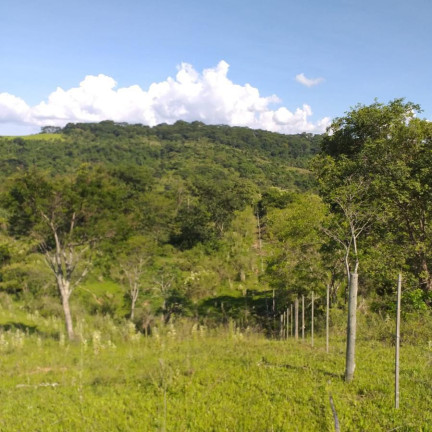 Imagem Fazenda à Venda, 179 m² em Rural - Garça