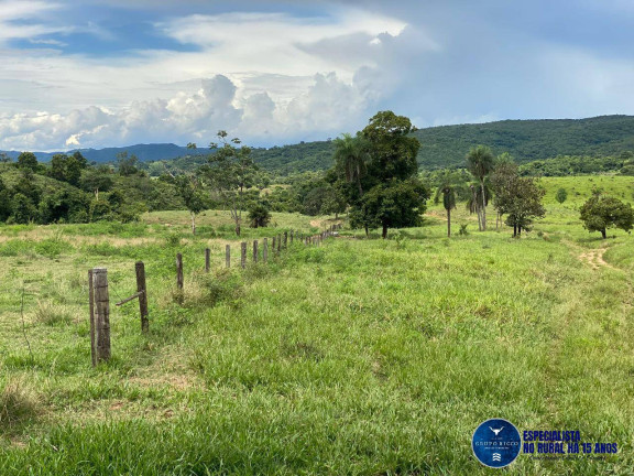 Imagem Fazenda à Venda, 214 m² em Zona Rural - Israelândia Imagem Fazenda à Venda, 214 m² em Zona Rural - Israelândia