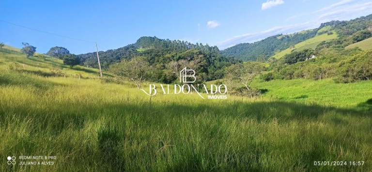 Terreno à Venda, 2.000 m² em Centro - Estiva