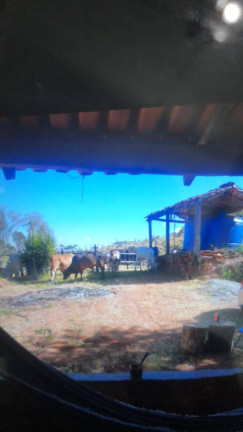 Imagem Chácara à Venda, 6 m² em Zona Rural - Pirenópolis Imagem Chácara à Venda, 6 m² em Zona Rural - Pirenópolis