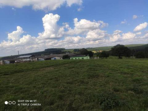 Imagem Chácara com 4 Quartos à Venda, 2.000 m² em Alambari