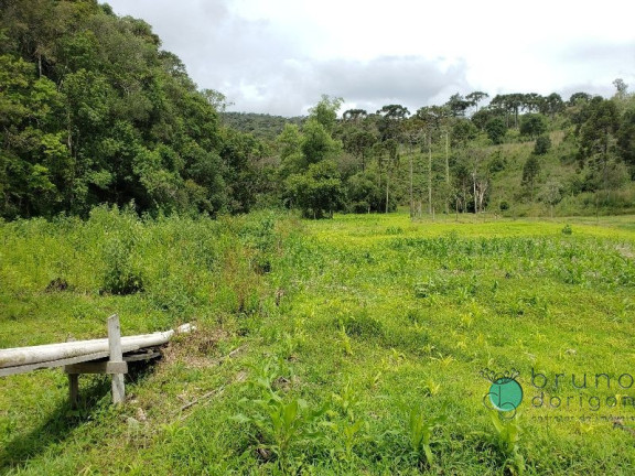 Imagem Imóvel com 3 Quartos à Venda, 350.000 m² em Zona Rural - Bom Retiro Imagem Imóvel com 3 Quartos à Venda, 350.000 m² em Zona Rural - Bom Retiro