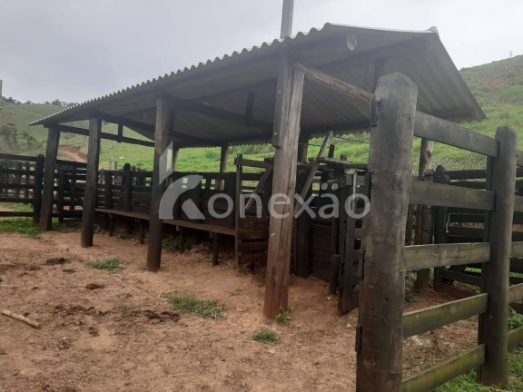 Imagem Fazenda à Venda, 90 m² em Itapeva - Paraibuna Imagem Fazenda à Venda, 90 m² em Itapeva - Paraibuna