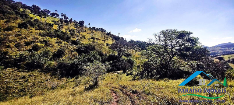 Imagem Chácara à Venda, 44 m² em Centro - Paraisópolis