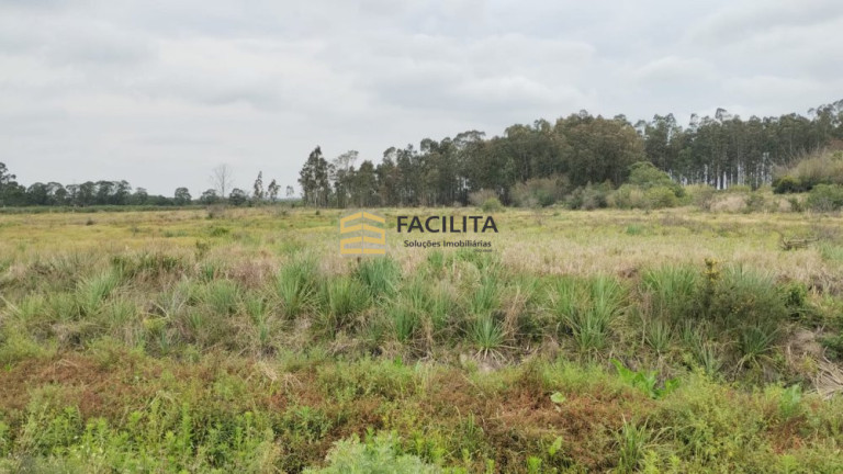 Imagem Imóvel com 1 Quarto à Venda, 20.000 m² em Fragata - Pelotas Imagem Imóvel com 1 Quarto à Venda, 20.000 m² em Fragata - Pelotas