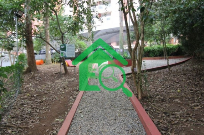 Imagem Apartamento com 3 Quartos à Venda, 77 m² em Vila Sofia - São Paulo
