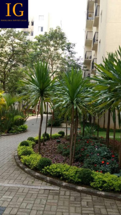 Imagem Apartamento com 3 Quartos à Venda, 59 m² em Vila Mendes - São Paulo