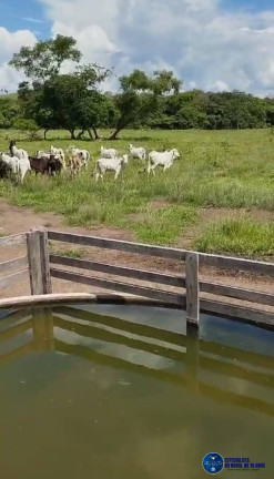 Imagem Fazenda à Venda, 320 m² em Zona Rural - Novo São Joaquim Imagem Fazenda à Venda, 320 m² em Zona Rural - Novo São Joaquim