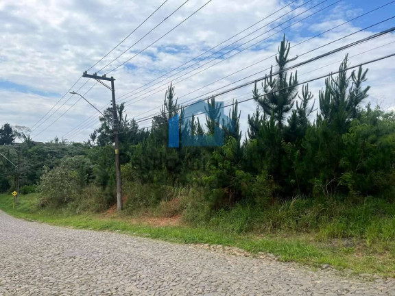Imagem Terreno em Condomínio à Venda, 4.973 m² em Granja Viana - Cotia