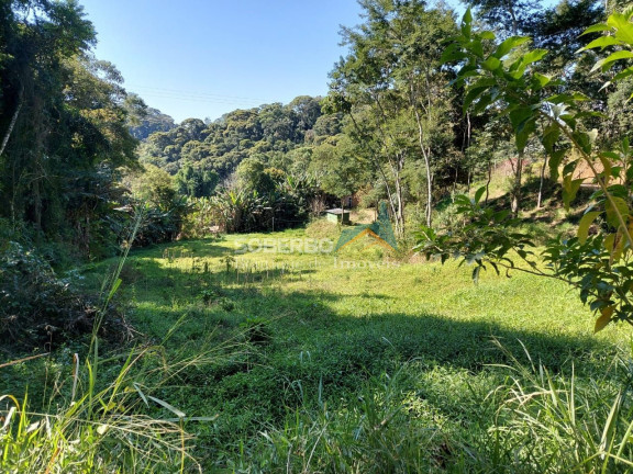 Imagem Imóvel com 3 Quartos à Venda, 70.000 m² em Vargem Grande - Teresópolis Imagem Imóvel com 3 Quartos à Venda, 70.000 m² em Vargem Grande - Teresópolis
