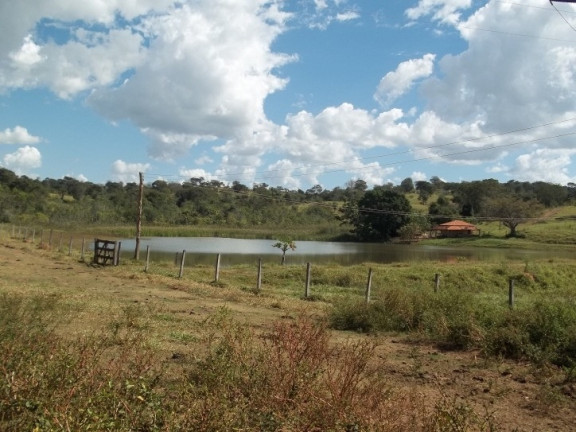 Imagem Fazenda à Venda, 222 m² em Zona Rural - Professor Jamil Imagem Fazenda à Venda, 222 m² em Zona Rural - Professor Jamil