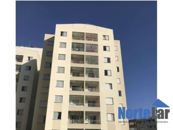 Imagem Apartamento com 2 Quartos à Venda, 50 m² em Vila Amélia - São Paulo Imagem Apartamento com 2 Quartos à Venda, 50 m² em Vila Amélia - São Paulo