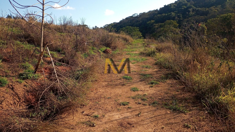 Imagem Terreno à Venda, 7.000 m² em Capoavinha - Mairiporã Imagem Terreno à Venda, 7.000 m² em Capoavinha - Mairiporã