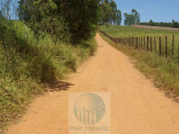 Imagem Imóvel com 3 Quartos à Venda, 220.000 m² em Zona Rural - Jacui
