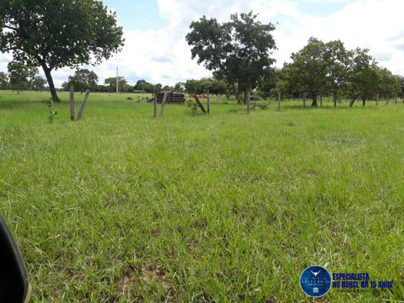 Imagem Fazenda à Venda, 1 m² em Zona Rural - Araguaiana Imagem Fazenda à Venda, 1 m² em Zona Rural - Araguaiana