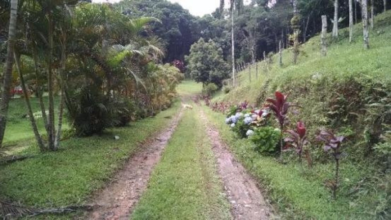 Imagem Chácara com 2 Quartos à Venda, 8.000 m² em Zona Rural - Juquitiba Imagem Chácara com 2 Quartos à Venda, 8.000 m² em Zona Rural - Juquitiba