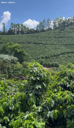 Fazenda à Venda, 11 m² em Manhumirim