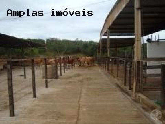 Imagem Fazenda à Venda,  em Queiroz - Mateus Leme