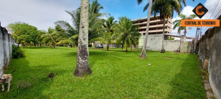 Imagem Terreno à Venda, 2.436 m² em Buraquinho - Lauro De Freitas Imagem Terreno à Venda, 2.436 m² em Buraquinho - Lauro De Freitas