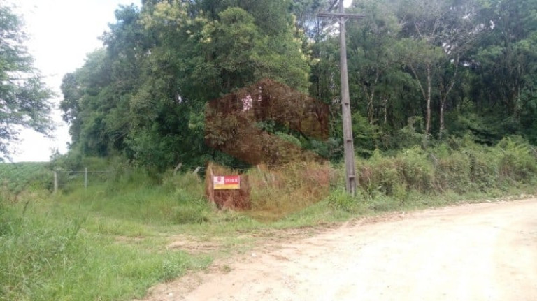Imagem Chácara com 1 Quarto à Venda, 1 m² em Morro Do Cal - Campo Largo