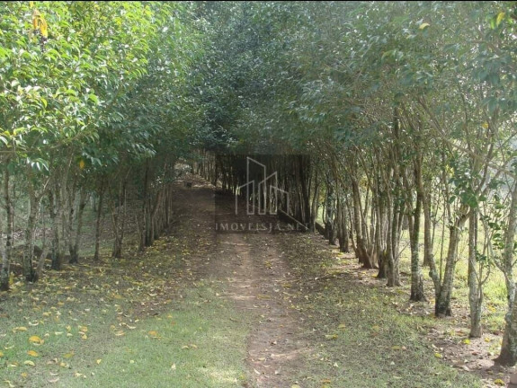 Imagem Imóvel com 5 Quartos à Venda, 80.000 m² em Centro - Jumirim Imagem Imóvel com 5 Quartos à Venda, 80.000 m² em Centro - Jumirim