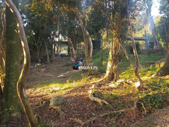 Imagem Terreno à Venda, 420 m² em Vila Assunção - Porto Alegre Imagem Terreno à Venda, 420 m² em Vila Assunção - Porto Alegre