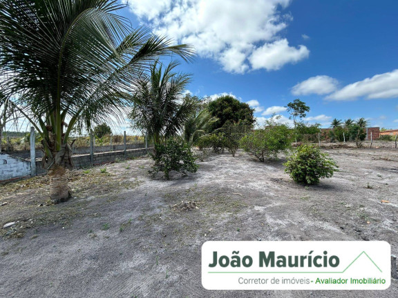 Imagem Chácara com 1 Quarto à Venda, 1.000 m² em Limoeiro De Anadia Imagem Chácara com 1 Quarto à Venda, 1.000 m² em Limoeiro De Anadia