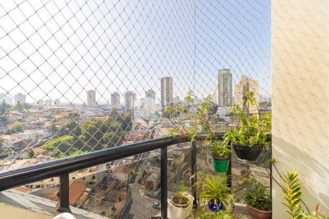 Imagem Apartamento com 3 Quartos à Venda, 94 m² em Lauzane Paulista - São Paulo Imagem Apartamento com 3 Quartos à Venda, 94 m² em Lauzane Paulista - São Paulo