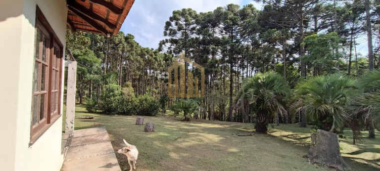 Imagem Chácara com 4 Quartos à Venda, 86.748 m² em São Dimas - Colombo
