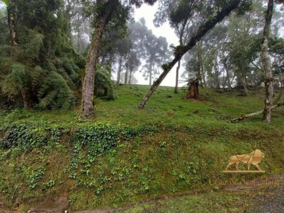 Imagem Terreno em Condomínio à Venda, 1.000 m² em Alto Boa Vista - Campos Do Jordão Imagem Terreno em Condomínio à Venda, 1.000 m² em Alto Boa Vista - Campos Do Jordão