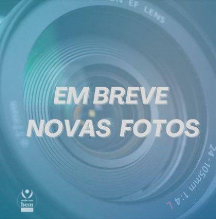 Imagem Casa com 4 Quartos à Venda, 408 m² em Jardim Social - Curitiba
