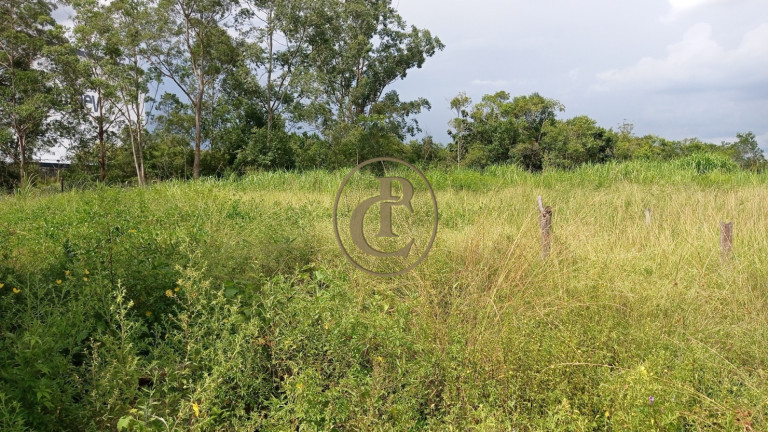 Imagem Terreno à Venda, 6.834 m² em Pagador De Andrade - Jacareí