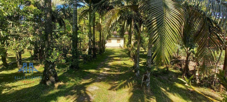 Imagem Fazenda à Venda, 20.000 m² em área Rural De Biguaçu - Biguaçu Imagem Fazenda à Venda, 20.000 m² em área Rural De Biguaçu - Biguaçu