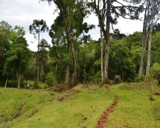Imagem Imóvel à Venda, em Linha Imperial - Nova Petrópolis Imagem Imóvel à Venda, em Linha Imperial - Nova Petrópolis