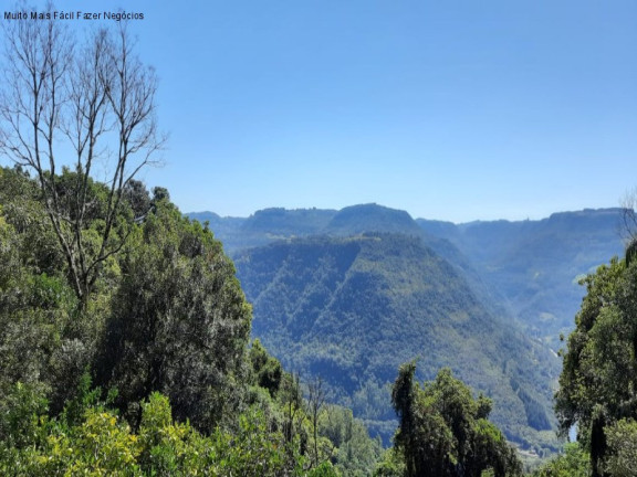 Imagem Imóvel com 2 Quartos à Venda, 220 m² em Linha Brasil Fundos - Nova Petrópolis