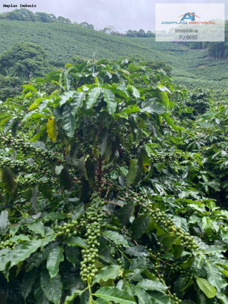 Imagem Fazenda à Venda, 35 m² em Manhumirim