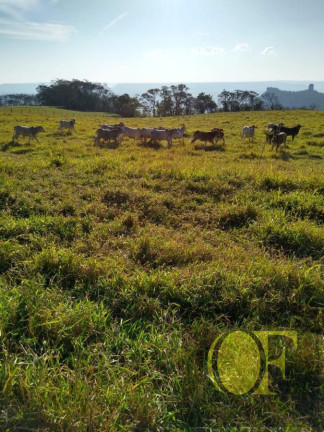 Imagem Fazenda à Venda, 120 m² em Rural - Torrinha Imagem Fazenda à Venda, 120 m² em Rural - Torrinha