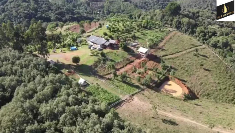 Imagem Imóvel com 4 Quartos à Venda, 46.000 m² em Freguesia Dos Laras - Campo Magro Imagem Imóvel com 4 Quartos à Venda, 46.000 m² em Freguesia Dos Laras - Campo Magro