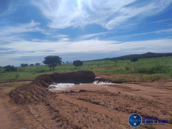 Imagem Fazenda à Venda, 219 m² em Zona Rural - Montes Claros De Goiás Imagem Fazenda à Venda, 219 m² em Zona Rural - Montes Claros De Goiás