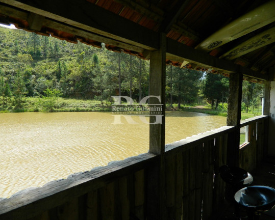 Imagem Imóvel com 3 Quartos à Venda, 387.200 m² em Martins Costa - Mendes