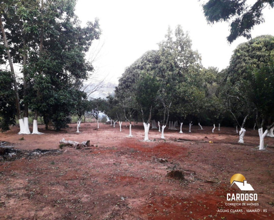 Imagem Imóvel com 5 Quartos à Venda, 50.000 m² em águas Claras - Viamão