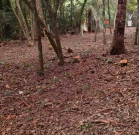 Terreno à Venda, 360 m² em São Lucas - Viamão