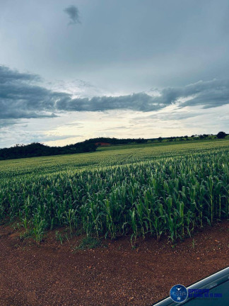 Imagem Fazenda à Venda, 822 m² em Zona Rural - Araguaína Imagem Fazenda à Venda, 822 m² em Zona Rural - Araguaína