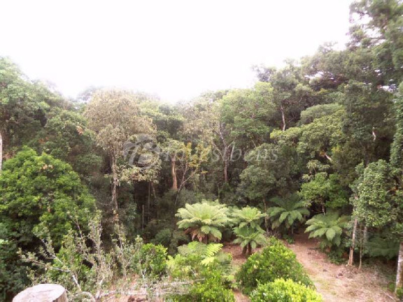 Imagem Imóvel com 2 Quartos à Venda, 87.670 m² em Centro - Tijucas Do Sul Imagem Imóvel com 2 Quartos à Venda, 87.670 m² em Centro - Tijucas Do Sul