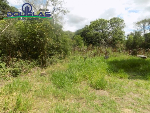 Imagem Imóvel Comercial à Venda,  em Viamão