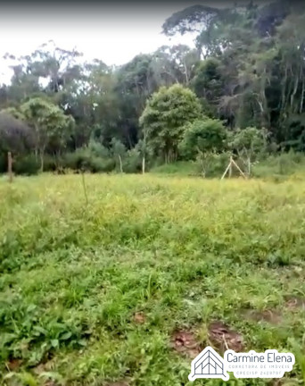 Terreno à Venda, 250 m² em Ubatumirim - Ubatuba